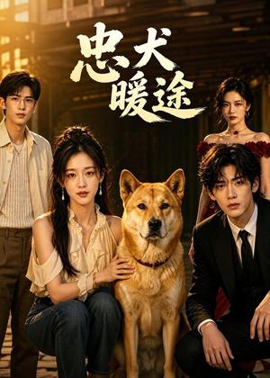 忠犬暖途（81集）AI短剧（夸克网盘）封面