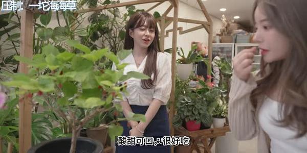 【中字】韩国网剧-有点色色的花店老板娘（夸克网盘）封面图 - 剧情短剧