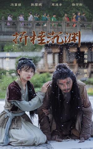 折桂沉渊（60集）周凌丰＆杨帆（夸克网盘）封面图 - 古装短剧