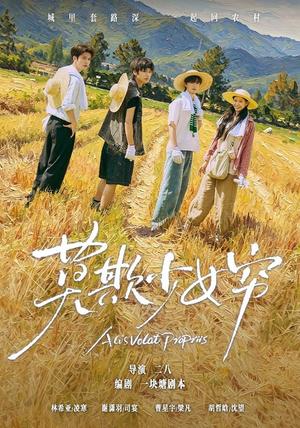 谁都别想拦着我发财＆莫欺少女穷（70集）谢潇雨＆林希亚（1080P）（夸克网盘）封面