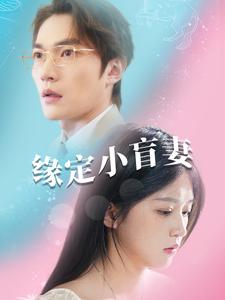 缘定小盲妻（62集）（夸克网盘）封面图 - 爱情短剧