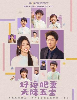 杏林春深&好运肥妻天降五宝（74集）吴明宇＆李海蒂（夸克网盘）封面图 - 古装短剧