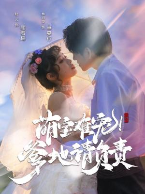 萌宝难宠！爹地请负责（80集）林可汉＆陆元（夸克网盘）封面图 - 家庭短剧