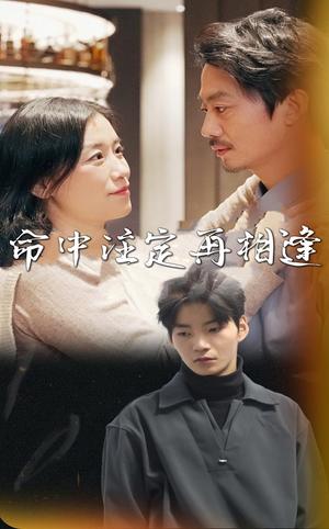 命中注定再相逢（39集）（夸克网盘）封面图 - 爱情短剧