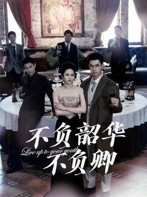 不负韶华不负卿（64集）翟成露（夸克网盘）封面图 - 都市短剧