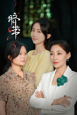 脐带（62集）（夸克网盘）封面图 - 家庭短剧
