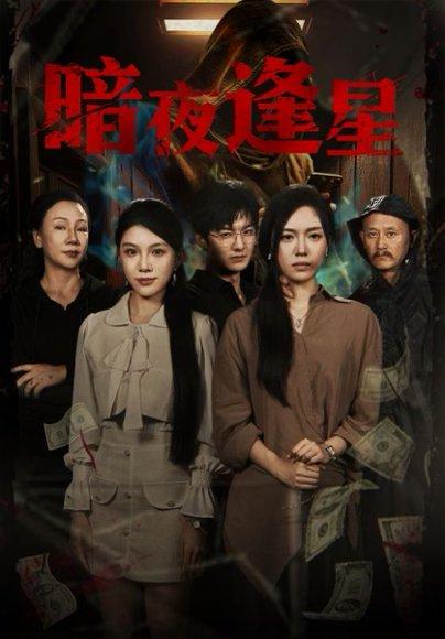 暗夜逢星封面图 - 爱情短剧