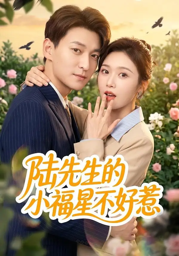 《陆先生的小福星不好惹(56集)肖涵&何为 (2026)》短剧封面