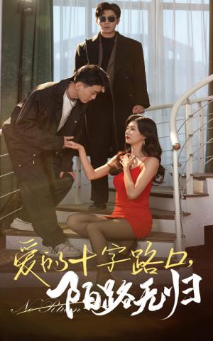 爱的十字路口陌路无归（35集）张北淅&程美华（夸克网盘）封面图 - 情感短剧
