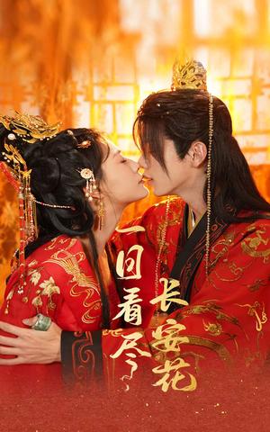 一日看尽长安花（58集）郑锋＆杨谨羽（夸克网盘）封面