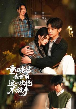 重回老婆去世前，这一次绝不放手（80集）郑天奇＆贾羽馨（夸克网盘）封面图 - 短剧短剧