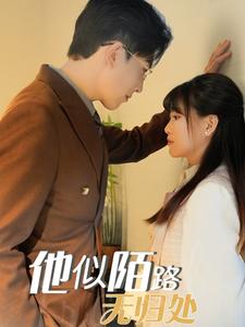 他似陌路无归处（30集）赵宏伟＆胡雪艺（夸克网盘）封面图 - 短剧短剧