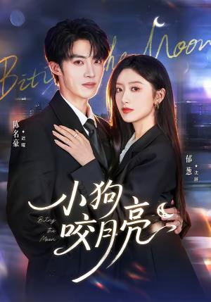 小狗咬月亮（66集）陈名豪＆郁葱（夸克网盘）封面图 - 爱情短剧