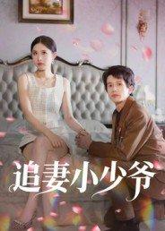 追妻小少爷封面图 - 剧情短剧