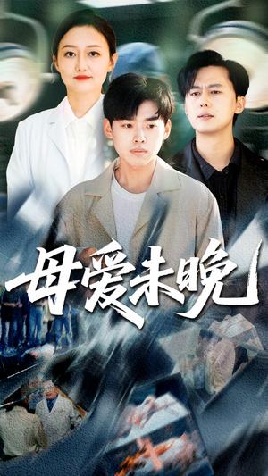 母爱未晚（69集）解琳&刘奕辰（夸克网盘）封面图 - 短剧短剧
