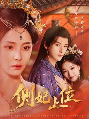侧妃上位（80集）徐凯鑫＆宋美萱（夸克网盘）封面图 - 短剧短剧