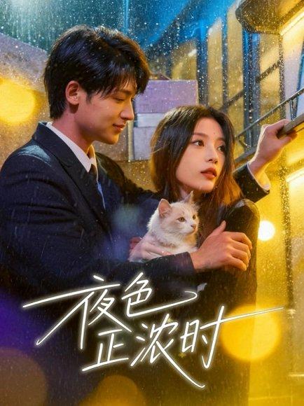 夜色正浓时（32集）徐梅＆谭伟英＆博之（百度网盘）封面图 - 都市短剧