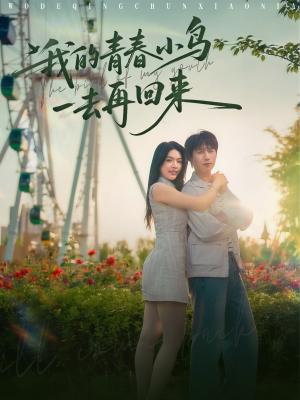 我的青春小鸟一去再回来（95集）严浩&刘彦君&瑞子&王希如（夸克网盘）封面图 - 短剧短剧