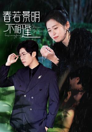 春若景明不相逢（50集）（夸克网盘）封面图 - 古装爱情短剧