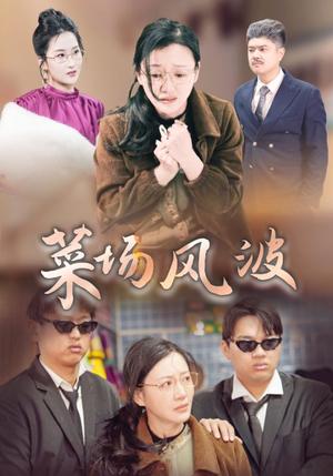 菜场风波（35集）（夸克网盘）封面图 - 生活短剧