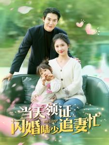 当天领证闪婚陆少追妻忙（80集）（夸克网盘）封面图 - 都市短剧