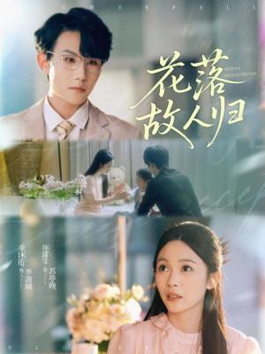 花落故人归（66集）李沐珩＆钟露莹封面图 - 古装短剧