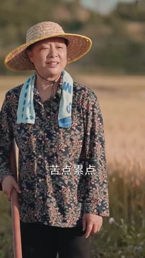 《志在千里》短剧封面