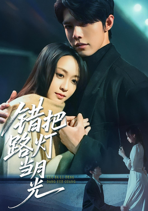 《错把路灯当月光(40集)》短剧封面