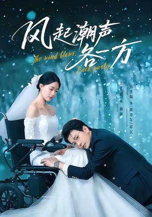 风起潮声各一方（84集）祁圣翰＆王艺舒（夸克网盘）封面图 - 短剧短剧