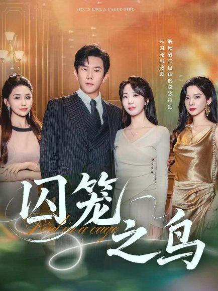 囚笼之鸟（52集）程澄&彭丹丹（彭呆呆）封面图 - 都市短剧