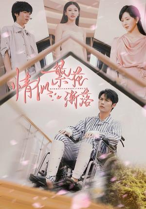 情似繁花渐落（62集）李明源&顾沅真（夸克网盘）封面图 - 短剧短剧