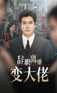 《她似月光落我心（100集）岳雨婷（夸克网盘）》短剧封面