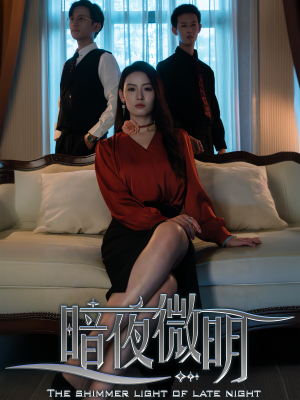 《暗夜微明（70集）（夸克网盘）》短剧封面