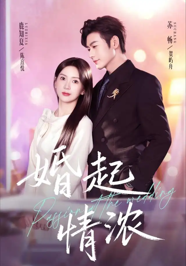 《婚起情浓（99集）苏畅＆鹿知夏（1080P）（夸克网盘）》短剧封面