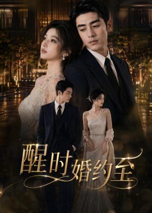 醒时婚约至(49集)(夸克网盘) 醒时婚约至(49集)(夸克网盘)封面