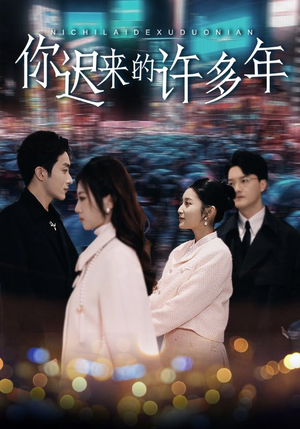 你迟来的许多年封面