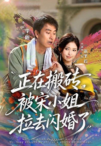 《正在搬砖，被宋小姐拉去闪婚了（80集）潘翀＆林嘉慧（百度网盘）》短剧封面