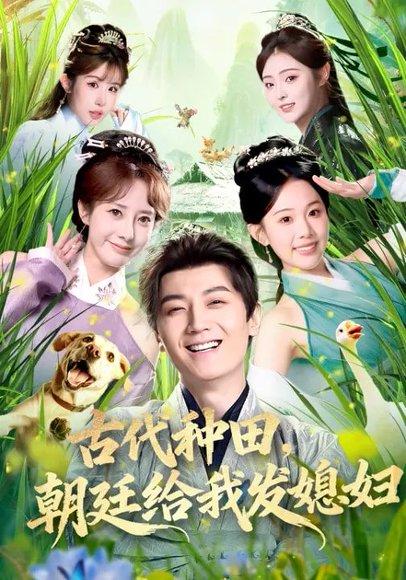 古代种田，朝廷给我发媳妇（81集）刘子洋&倪浩森（百度网盘）封面图 - 古装短剧