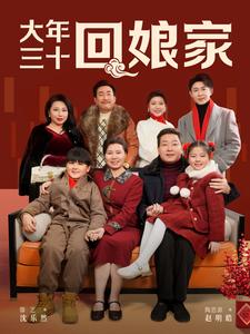 大年三十回娘家（30集）滕艺（夸克网盘）封面图 - 家庭短剧