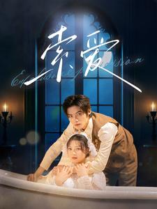 索爱（99集）谢鸿鑫＆彭瑶（夸克网盘）封面图 - 短剧短剧