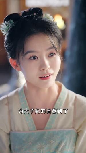 贬妻为妾，医女竟是长公主&贬妻为妾医女竟是长公主（80集）程澄&韩雨彤封面图 - 古装短剧
