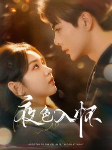 夜色入怀（66集）王楠&李柯以（夸克网盘）封面图 - 爱情短剧