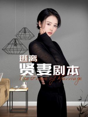 逃离贤妻剧本（33集）顾佳慧（夸克网盘）封面图 - 女性短剧