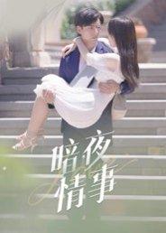 暗夜情事（100集）李豪&朱梦怡封面图 - 都市短剧