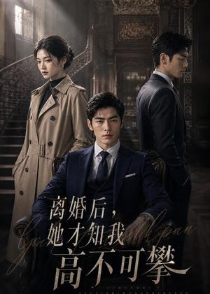 离婚后，她才知我高不可攀（55集）AI短剧（夸克网盘）封面