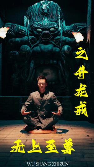 无上至尊之升龙戒（88集）（夸克网盘） - 玄幻修真短剧封面