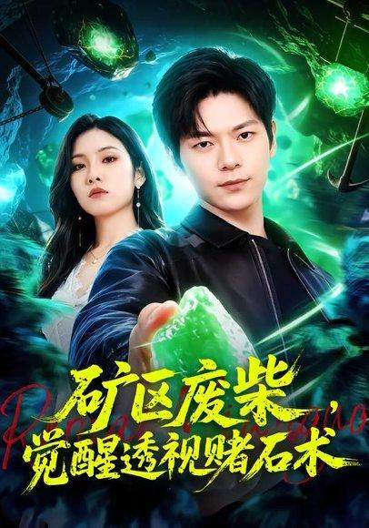 矿区废柴，觉醒透视赌石术（77集）刘瀚阳＆童欣（百度网盘）封面