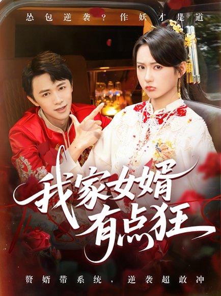 我家女婿有点狂封面图 - 家庭短剧