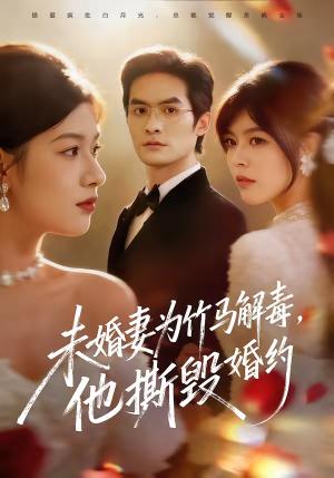 未婚妻为竹马解毒，他撕毁婚约（41集）陈寻秋＆程新茸（夸克网盘）封面