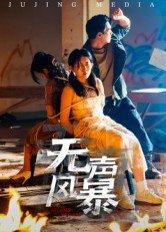 无声风暴（33集）鄢子纶（百度网盘）封面图 - 剧情短剧